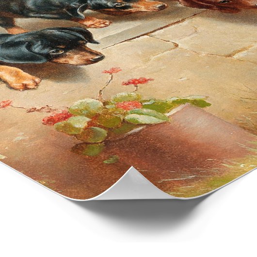 Neugierige Dackel Welpen | Carl Reichert Poster (Ecke)