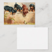 Neugierige Dackel Welpen und Frosch Mitteilungskarte (Vorne/Hinten)