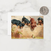 Neugierige Dackel Welpen und Frosch Mitteilungskarte (Vorderseite/Rückseite Beispiel)