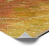 Neugierige Dackel Welpen und Frosch Poster (Ecke)