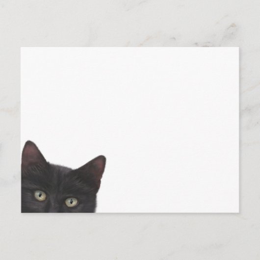 Neugierige, digitale Bilder von Kitty Postkarte (Vorderseite)