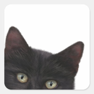 Neugierige, digitale Bilder von Kitty Quadratischer Aufkleber