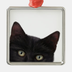 Neugierige, digitale Bilder von Kitty Silbernes Ornament