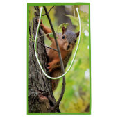Neugierige Eichhörnchen-Geschenk-Tasche Kleine Geschenktüte (Rückseite)