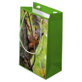 Neugierige Eichhörnchen-Geschenk-Tasche Kleine Geschenktüte (Rückseite Schrägansicht)