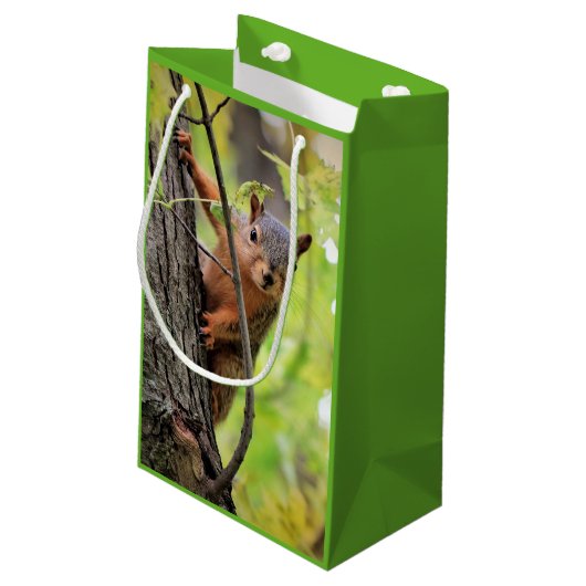 Neugierige Eichhörnchen-Geschenk-Tasche Kleine Geschenktüte (Rückseite Schrägansicht)
