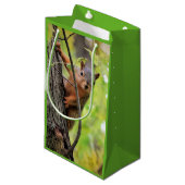 Neugierige Eichhörnchen-Geschenk-Tasche Kleine Geschenktüte (Vorderseite Schrägansicht)
