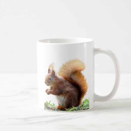 Neugierige Eichhörnchen-Tasse Kaffeetasse (Rechts)