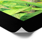 Neugierige Eichhörnchenkunst Poster (Ecke)