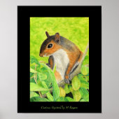 Neugierige Eichhörnchenkunst Poster (Vorne)