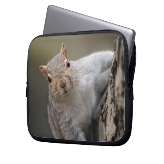 Neugierige Eichhörnchenlaptophülse Laptopschutzhülle (Vorderseite Links)
