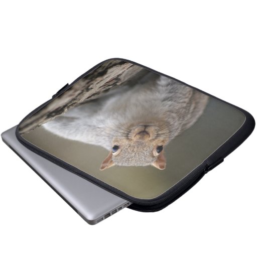 Neugierige Eichhörnchenlaptophülse Laptopschutzhülle (Vorne Knopf)