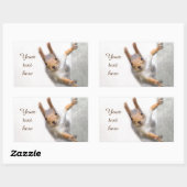 Neugierige Eichhörnchenrechteckige Aufkleber (Blatt)