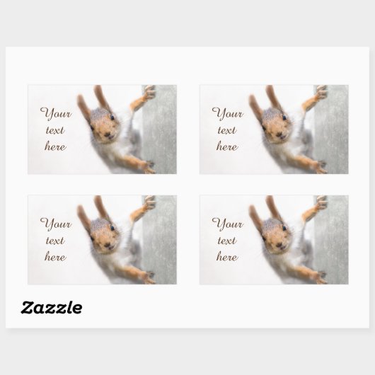 Neugierige Eichhörnchenrechteckige Aufkleber (Blatt)