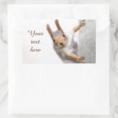 Neugierige Eichhörnchenrechteckige Aufkleber (Tasche)