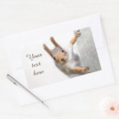 Neugierige Eichhörnchenrechteckige Aufkleber (Umschlag)