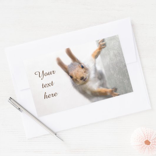 Neugierige Eichhörnchenrechteckige Aufkleber (Umschlag)