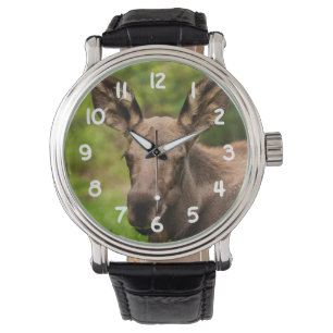Neugierige Elose Armbanduhr