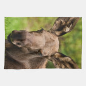 Neugierige Elose Geschirrtuch (Horizontal)
