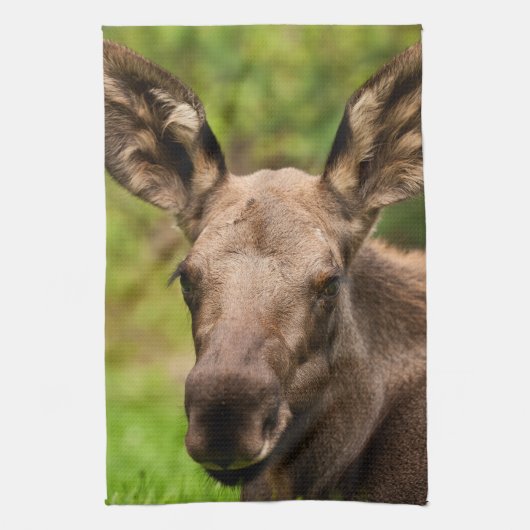 Neugierige Elose Geschirrtuch (Vertikal)