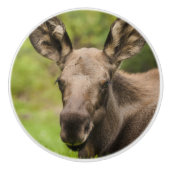 Neugierige Elose Keramikknauf (Vorderseite)