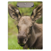 Neugierige Elose Klemmbrett (Vorderseite)