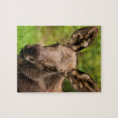Neugierige Elose Puzzle (Horizontal)