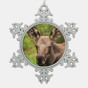 Neugierige Elose Schneeflocken Zinn-Ornament