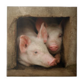 Neugierige Ferkel Fliese (Vorderseite)