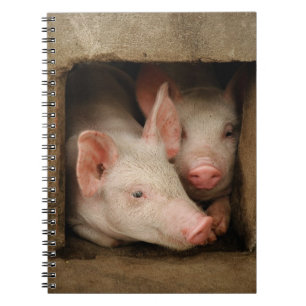 Neugierige Ferkel Notizblock