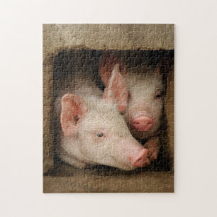 Neugierige Ferkel Puzzle