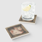 Neugierige Ferkel Steinuntersetzer (Seitenansicht)