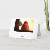 Neugierige Fink Karte (Rückseite)