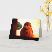 Neugierige Fink Karte (Gelbe Blume)