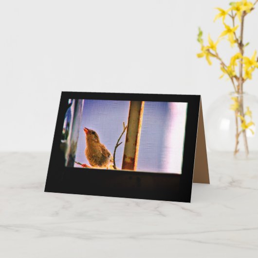 Neugierige Fink Karte (Gelbe Blume)