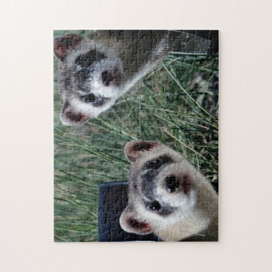 Neugierige Frettchen, Jigsaw Puzzle (Vertikal)