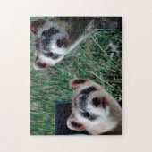 Neugierige Frettchen, Puzzle (Vertikal)