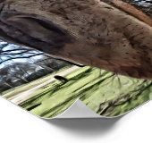 Neugierige Giraffe Fotografien Print Poster (Ecke)