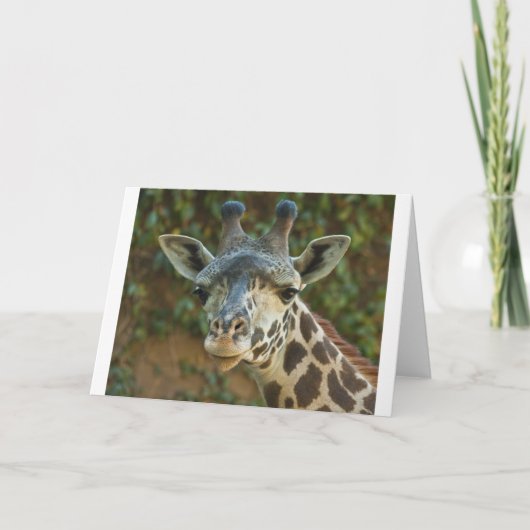 Neugierige Giraffe Karte (Vorderseite)