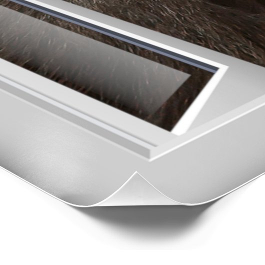 Neugierige Gorilla 3D Window Art Poster (Ecke)