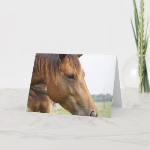 Neugierige Grüße Karte