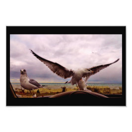 Neugierige Gulden Fotodruck