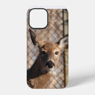 Neugierige Hirsche im Wald iPhone 12 Hülle