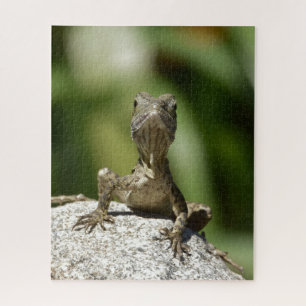Neugierige junge Echse Puzzle