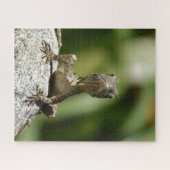 Neugierige junge Echse Puzzle (Horizontal)