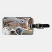 Neugierige Kätzchen Gepäckanhänger (Vorderseite horizontal)