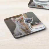 Neugierige Kätzchen Getränkeuntersetzer (Linke Seite)