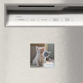 Neugierige Kätzchen Magnet (In Situ (Geschirrspüler))
