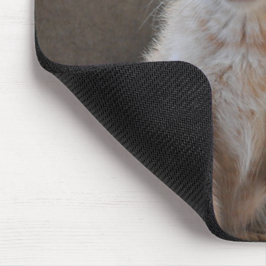 Neugierige Kätzchen Mousepad (Ecke)