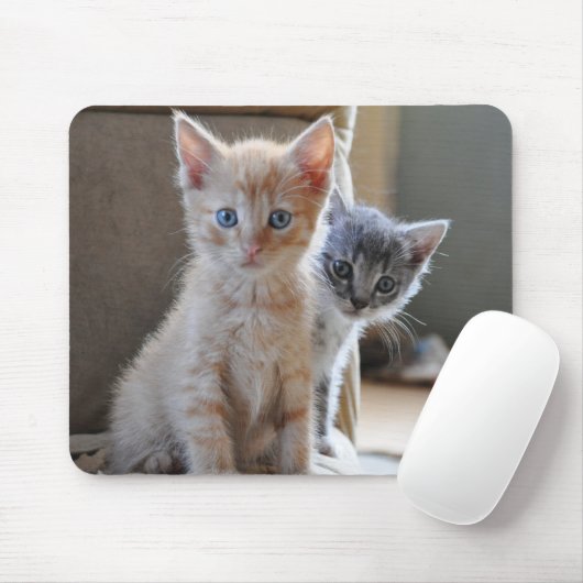 Neugierige Kätzchen Mousepad (Mit Mouse)